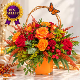 Autumn bouquet of red and orange flowers in a square vase with a wicker handle.