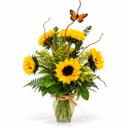 Sunflower arrangement in a glass vase with a butterfly accent