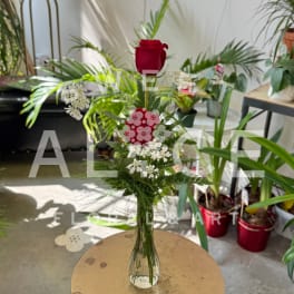 Single red rose in a clear glass vase with white filler flowers