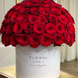 Dome of red roses arranged tightly in a white hat box on a table