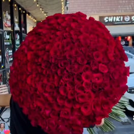 Large round bouquet of red roses held outdoors