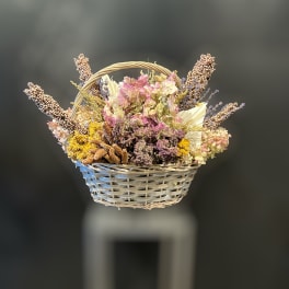 Dried and Preserved flowers in basket (containers/botanicals vary)