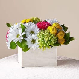Mixed bouquet of white, yellow, and pink flowers in a white box