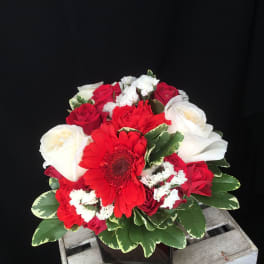 Red and white rose bouquet with a red gerbera daisy in a black vase