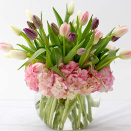 Pink and purple tulips arranged with pink hydrangeas in a clear glass vase