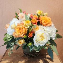 Cheerful Moments Abundant