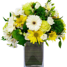 Compact yellow and white daisy arrangement in a clear rectangular glass vase