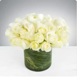 Two Dozen White Roses