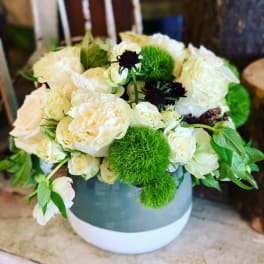 Cream roses and green pom-pom flowers arranged in a round vase.