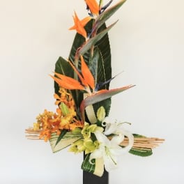 Tall tropical floral arrangement with orange bird-of-paradise and white lilies in a black vase
