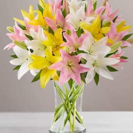 Bouquet of pink, white, and yellow lilies in a clear glass vase