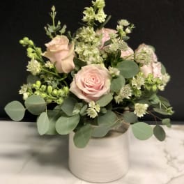 Blush roses and white filler flowers in a white vase