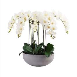 White orchid arrangement in a gray bowl planter