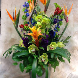 Tall tropical arrangement with orchids and bird of paradise in a vase