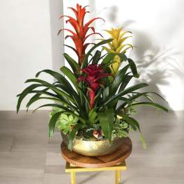 Tropical Oasis Planter 7001