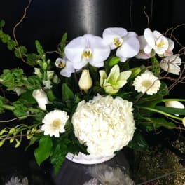 Low white arrangement with orchids, hydrangea, tulips, roses, lilies, and gerberas in a white bowl.