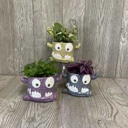 Three small potted plants in colorful monster-face planters