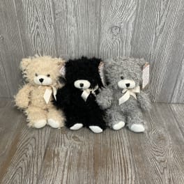 Three teddy bears in beige, black, and gray with ribbon bows