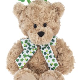 Teddy bear with shamrock headband and shamrock ribbon