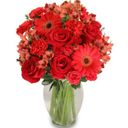 Red roses, gerbera daisies, carnations, and alstroemeria arranged in a clear glass vase.