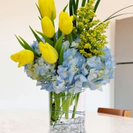 Arrangement of yellow tulips and blue hydrangeas in a clear glass cylinder vase.
