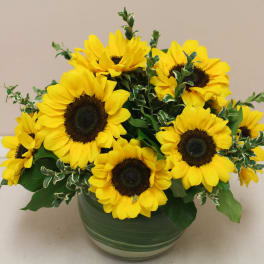 Yellow sunflowers arranged in a green glass vase