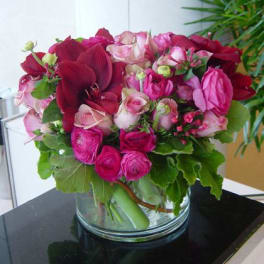 Low cylinder vase of red amaryllis, pink roses, and ranunculus in a compact arrangement