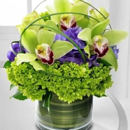 Short arrangement of green cymbidium orchids and purple blooms in a clear cylinder vase