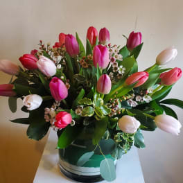 Bouquet of pink and white tulips in a round vase