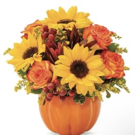 Sunny Fall Pumpkin