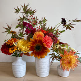 Three autumn floral arrangements in white ceramic vases with orange, red, and pink blooms.