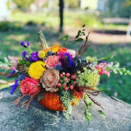 Colorful floral arrangement in a small pumpkin container