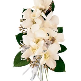 White orchid bouquet with dark green leaves and a white ribbon