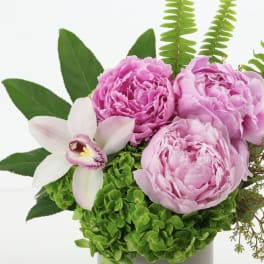 Pink peonies with a white orchid in a vase