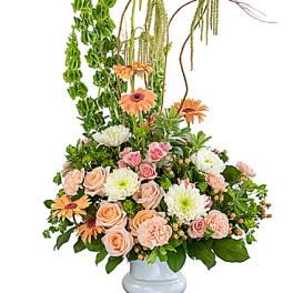 Divine Grace Tribute