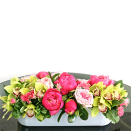 Low Peony