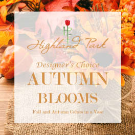 Designer's Choice Autumn Blooms