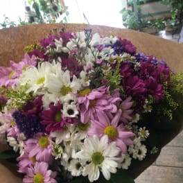 Daisies Bouquet