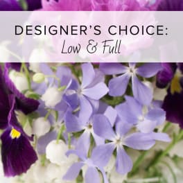 Purple and white flowers with "Designer’s Choice: Low & Full" text overlay