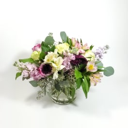 From the Garden