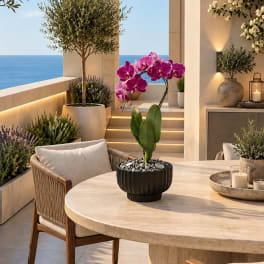 Potted orchid with bright pink blooms on a patio table overlooking the ocean