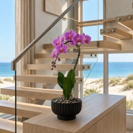Potted pink orchid with blooms on a wooden table by a staircase