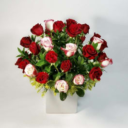 Be Mine