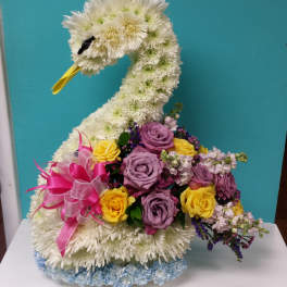 White Swan