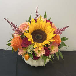 Pumpkin Pixie Garden by Chasing Petals