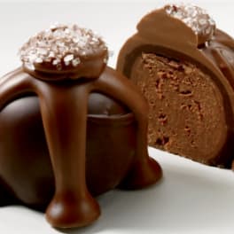 Two chocolate truffle desserts with caramel-like drips and sugar topping