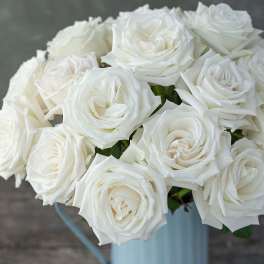 Bouquet of white roses in a pale blue vase