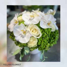 White orchids and cream roses in a round green arrangement