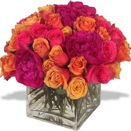 Compact arrangement of hot pink and orange roses in a clear glass cube vase