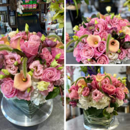 HARMONY PINK